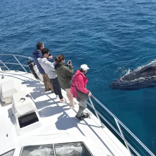 All Sea Charters Eco Tours