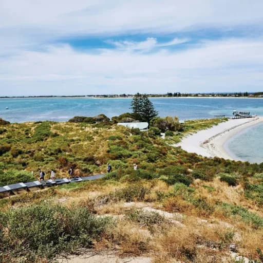 Penguin Island