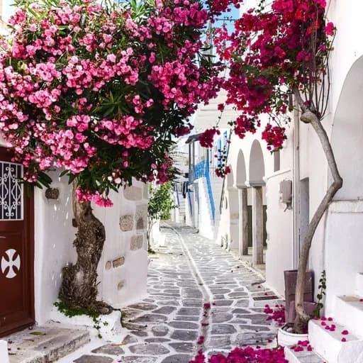 The View of Mykonos